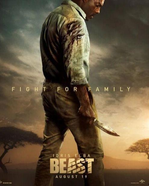 荒野狂兽,生存与挑战的极限对决